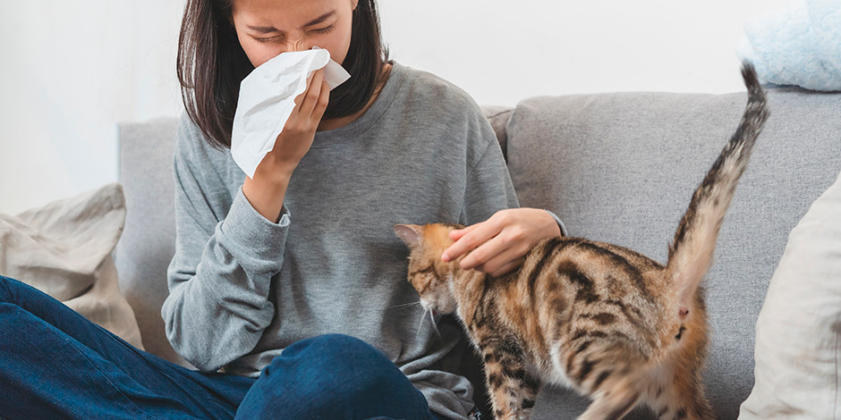 Allergie aux chats : 5 astuces efficaces pour nettoyer sa maison