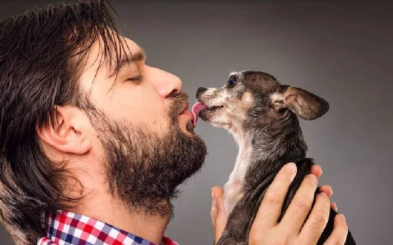 les chiens peuvent-ils embrasser leurs propriétaires sur la bouche