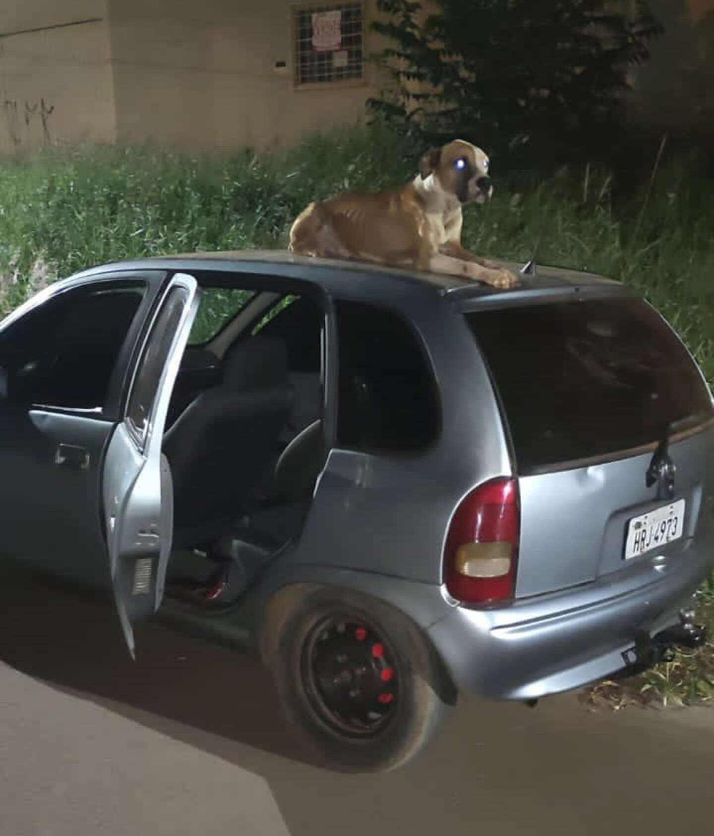 Un homme retrouve sa voiture volée et voit qu'elle est maintenant accompagnée d'un chien