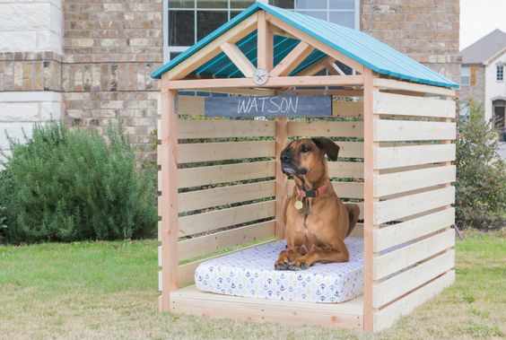 10 plans de maison de chien de bricolage que vous pouvez construire