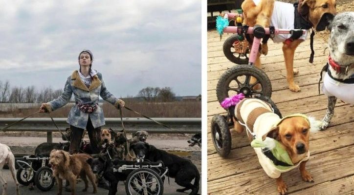 Une Ukrainienne de 20 ans a évacué des chiens handicapés d’Irpen