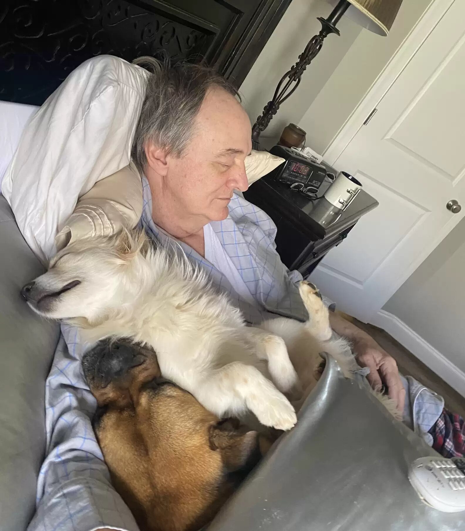 Une femme surprend son père en train de faire la sieste avec tous les chiens du voisin