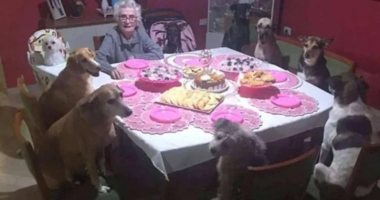 Cette grand-mère fête ses 89 ans entourée de ses 10 chiens