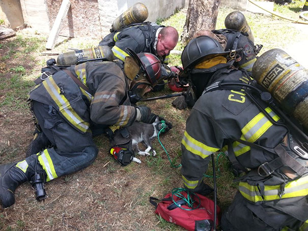 Des pompiers font revivre un chat inconscient à l'aide d'un masque à oxygène spécial pour animaux de compagnie