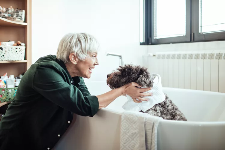 Pouvez-vous utiliser du shampoing pour bébé sur les chiens
