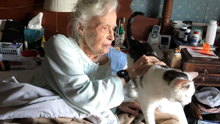 Une femme de 101 ans adopte un chat de 20 ans d'un refuge pour animaux