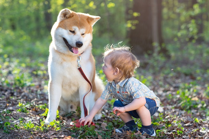 meilleurs chiens à adopter pour les enfants et les familles