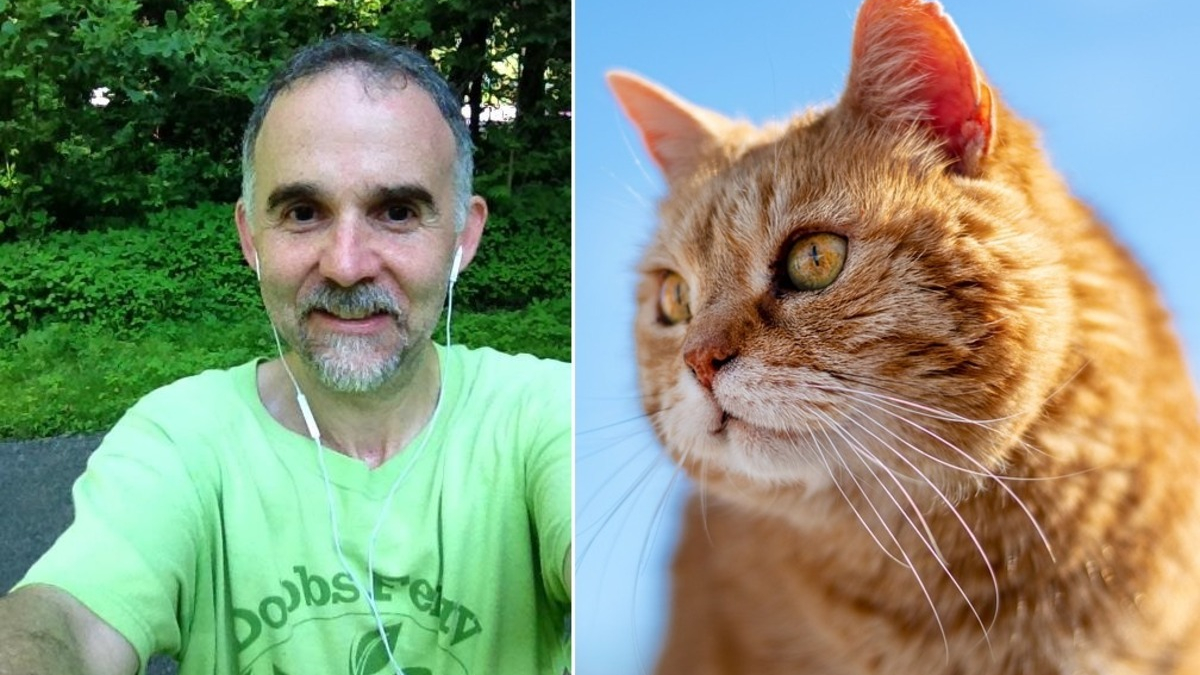 Ce vétérinaire au grand cœur court des marathons pour aider les chats séniors